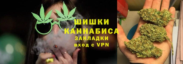 не бодяженный Горно-Алтайск