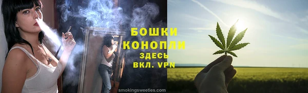 эйфоретик Горняк