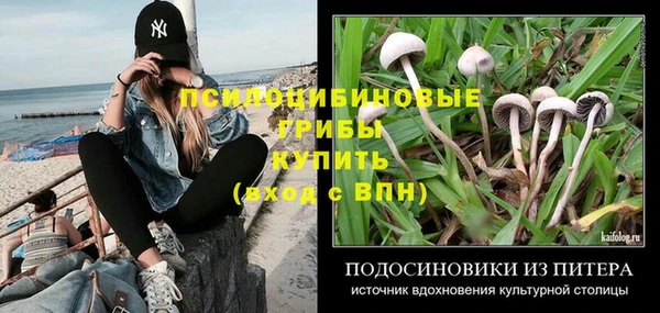 герыч Вяземский