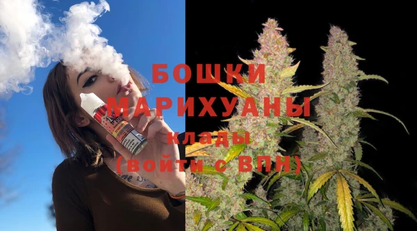 сатива Горнозаводск