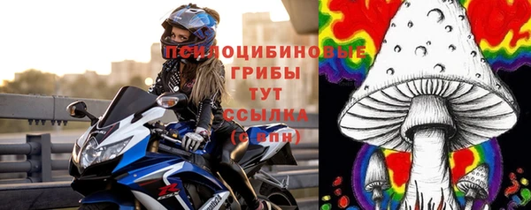 не бодяженный Горно-Алтайск